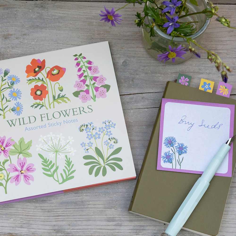 Boîtes de conservation - Collection Wild Flowers - REX