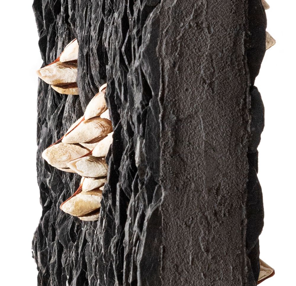 Unique pieces - ORGONE - VÉRONIQUE DARCON CAZES