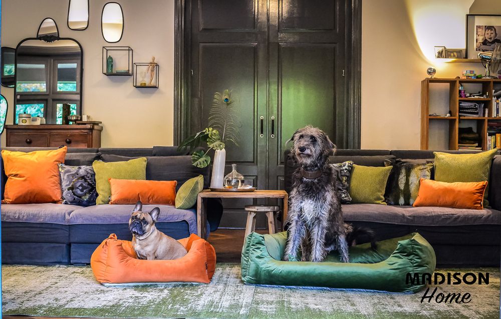 Accessoires animaux - Lit pour animaux de compagnie velours vert - MADISON FRIENDS