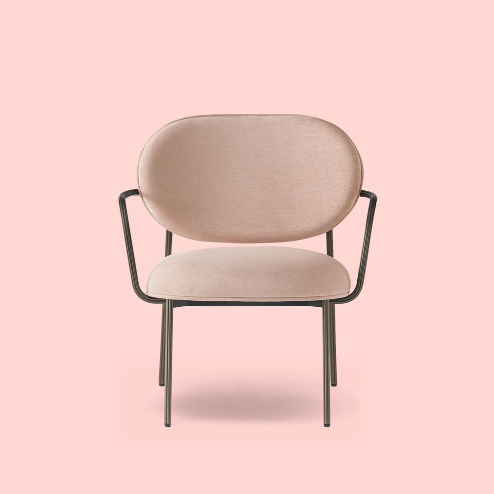 Chairs for hospitalities & contracts - BLUME - PEDRALI