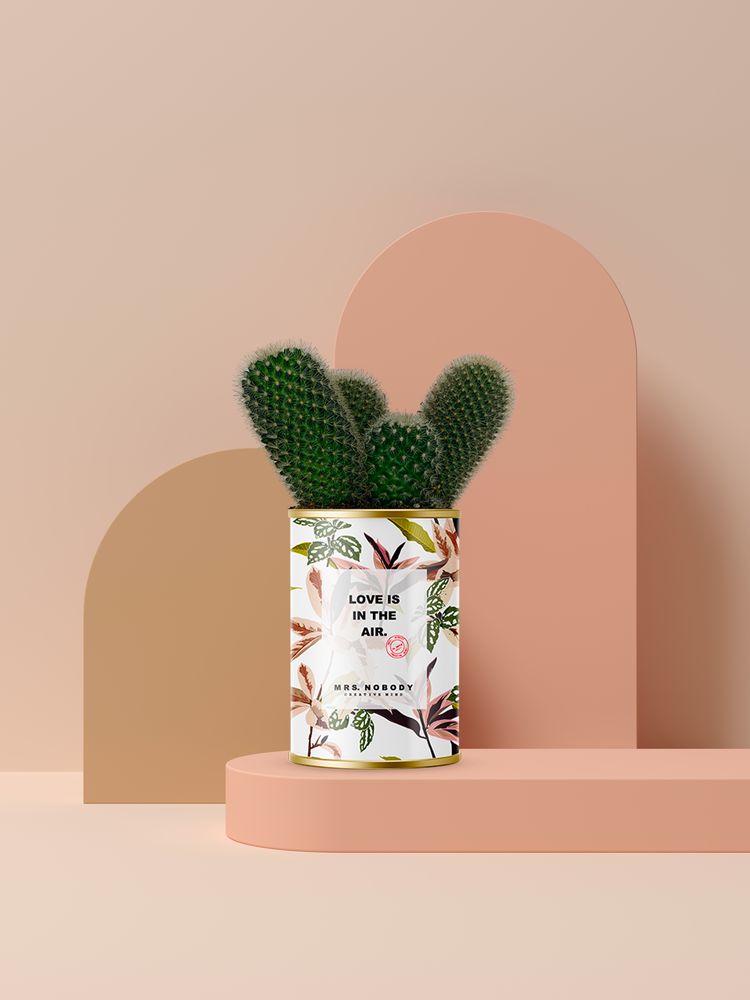 Cadeaux - MINIMAL / CACTUS LOVE IS IN THE AIR - MRS. NOBODY