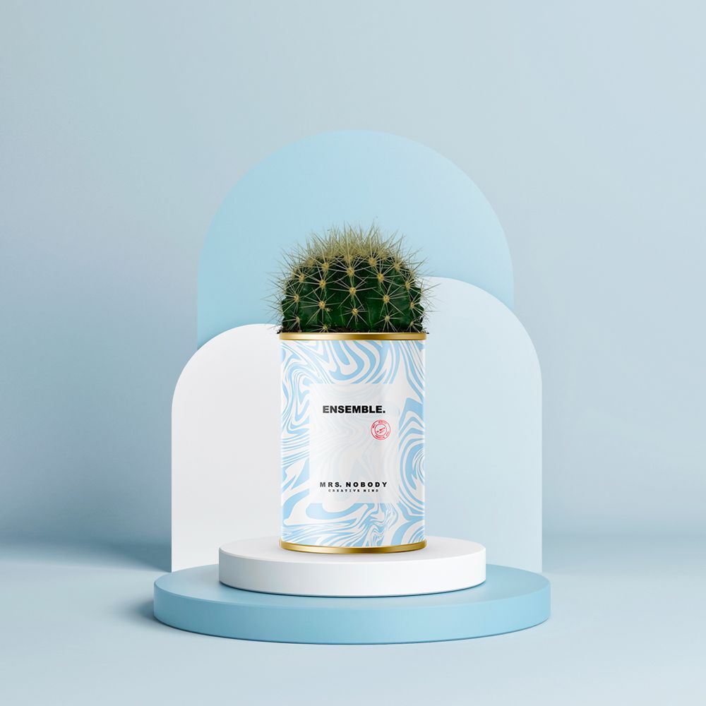 Cadeaux - MINIMAL / CACTUS ENSEMBLE - MRS. NOBODY