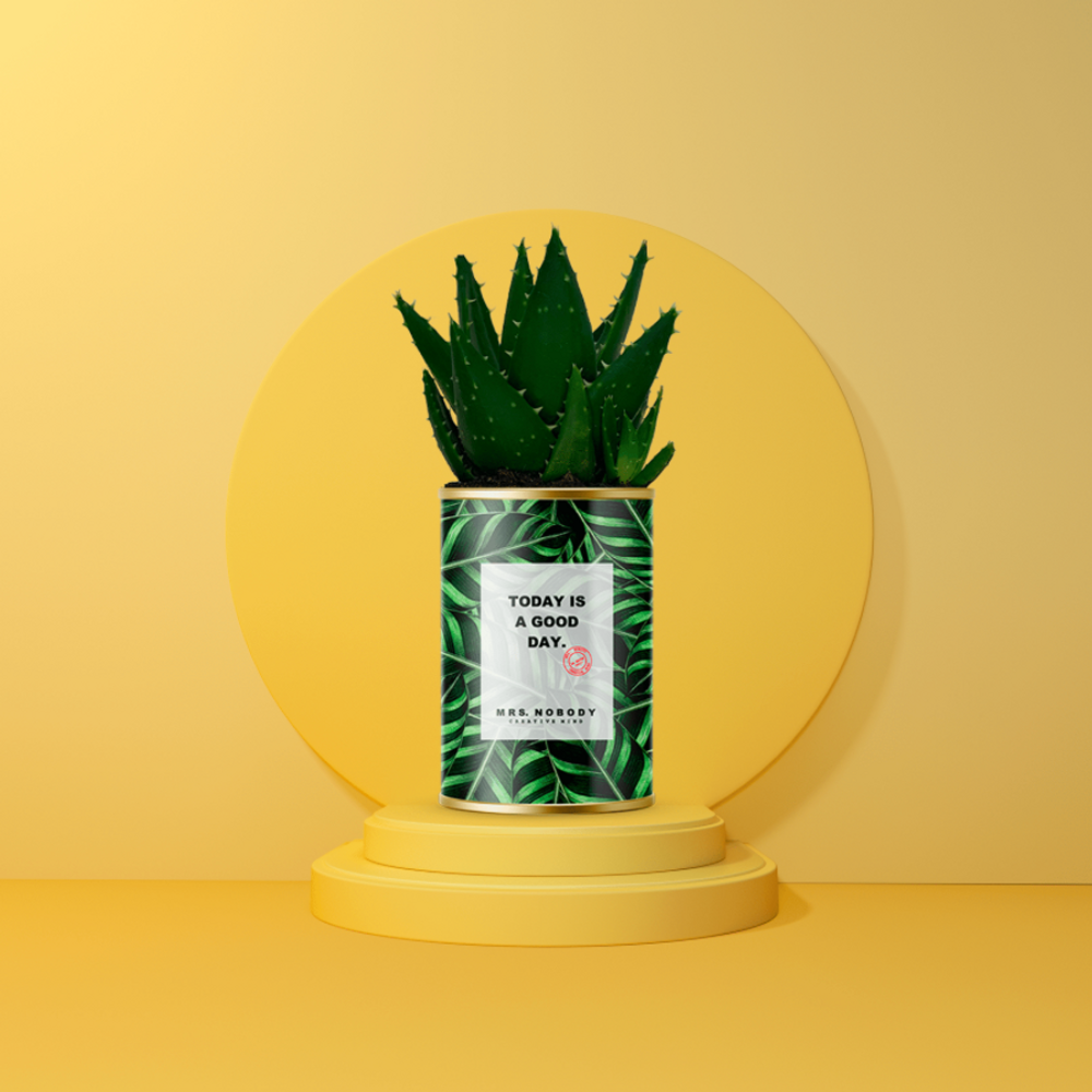 Cadeaux - MINIMAL / CACTUS TODAY IS A GOOD DAY - MRS. NOBODY