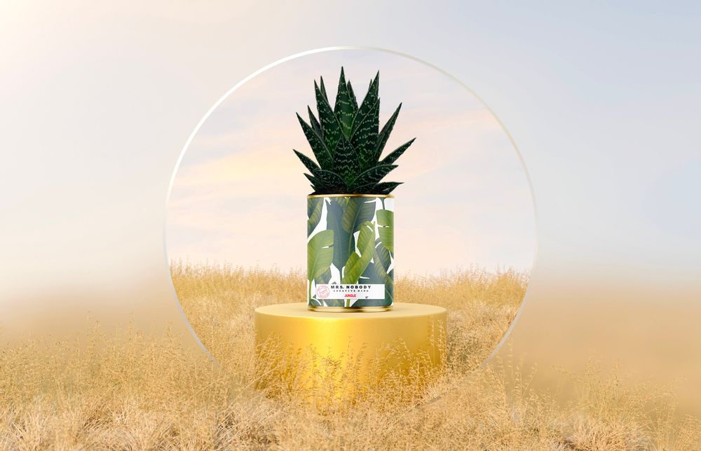 Cadeaux - SIGNATURE / CACTUS JUNGLE - MRS. NOBODY