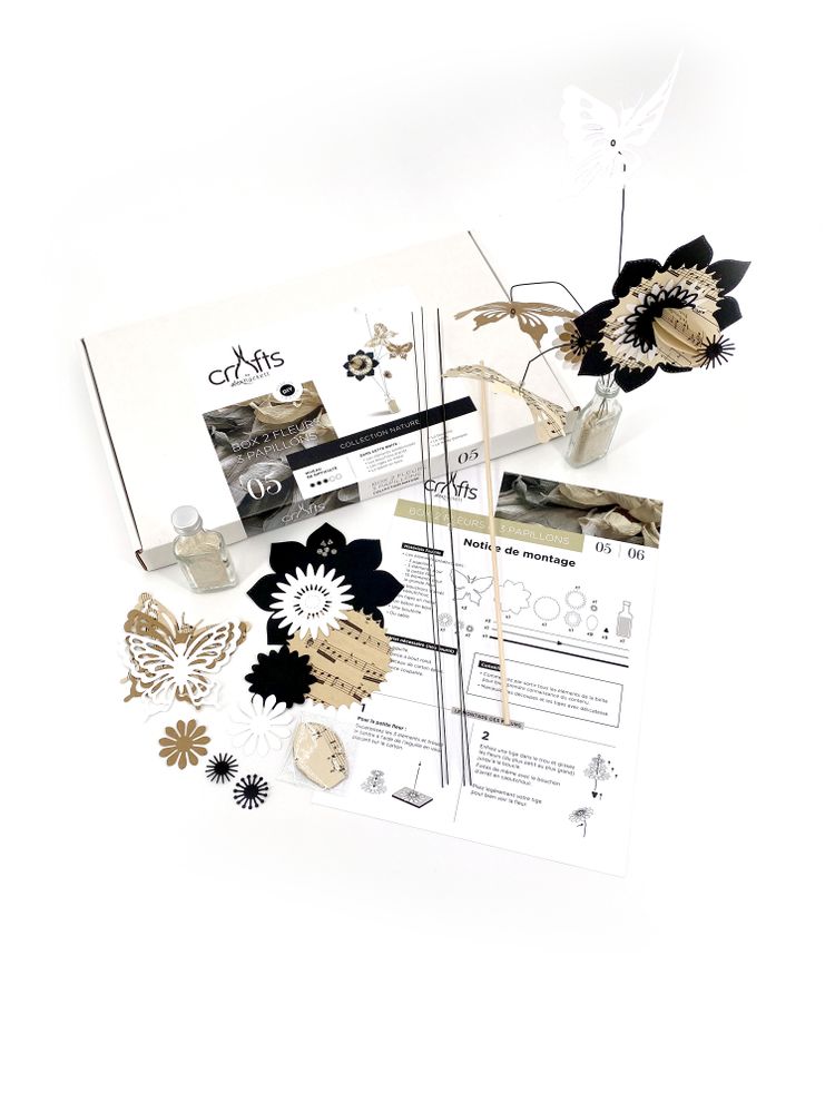 Caskets and boxes - 05/BOX 2 FLOWERS, 3 BUTTERFLIES - NATURE COLLECTION - ALEX HACKETT