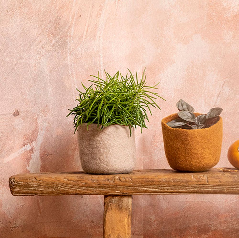 Caskets and boxes - BOWLS & BASKETS - Handmade in felt - MUSKHANE