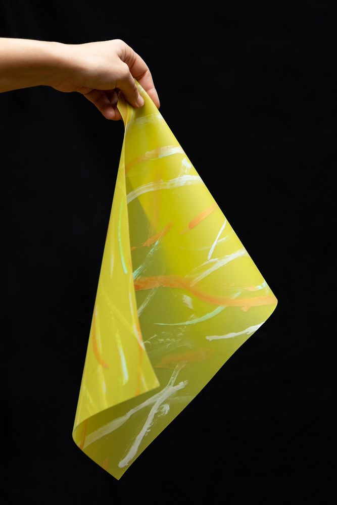 Linge de table textile - Roman Breeze silk organza Tablemats - LUISA LONGO