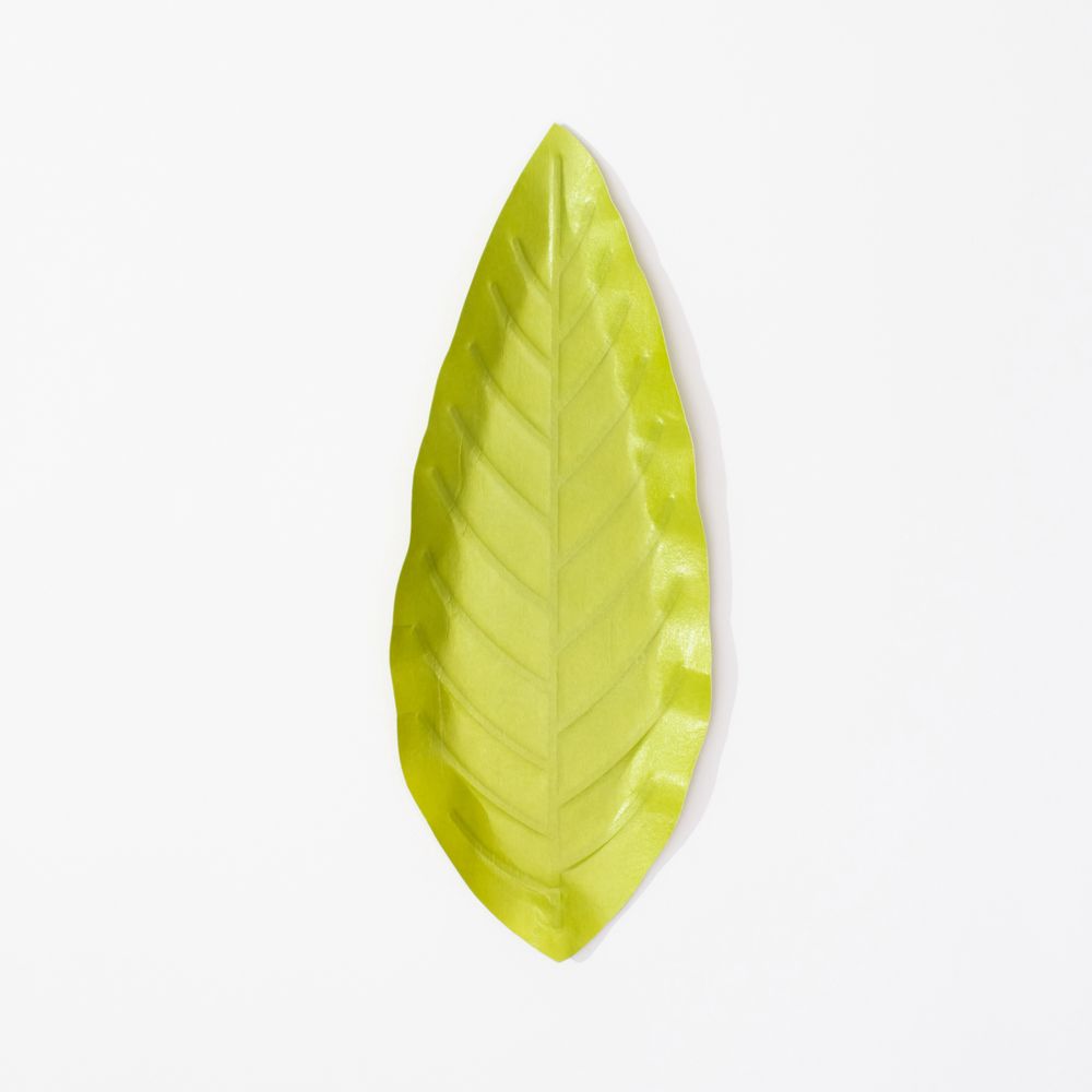 Gifts - Flexible Hanji Paper Tray - Leaf - KHJ STUDIO
