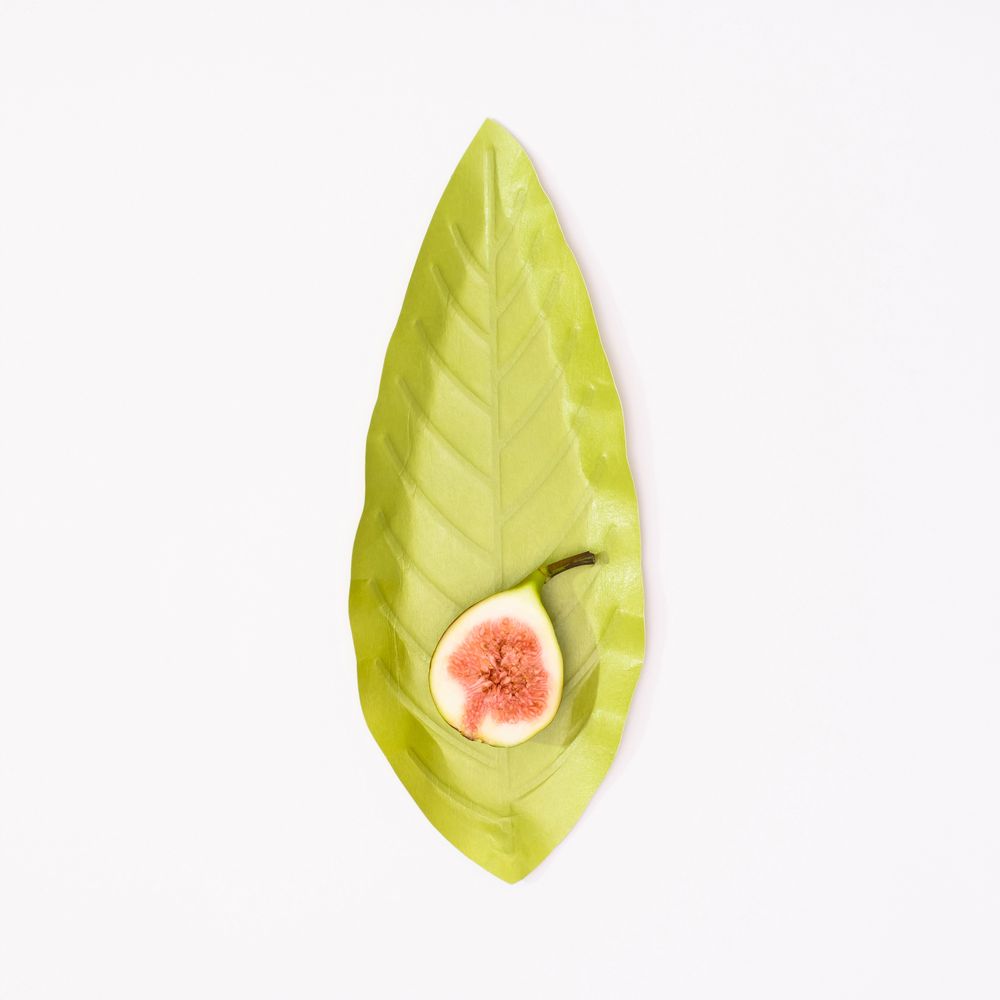 Gifts - Flexible Hanji Paper Tray - Leaf - KHJ STUDIO