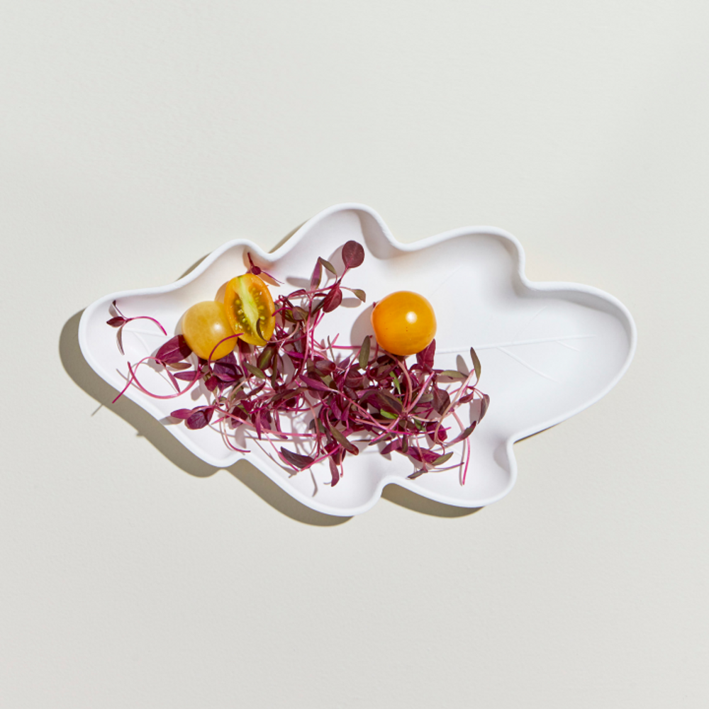 Plats et saladiers - Assiette en carton biodégradable - Oak Leaf - KHJ STUDIO