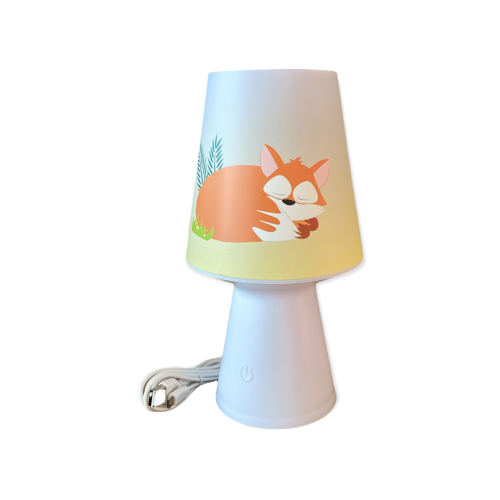 Objets de décoration - Veilleuse nomade, lampe nomade LED, Décoration de chambre enfant - J'VAIS L'DIRE À MA MÈRE !
