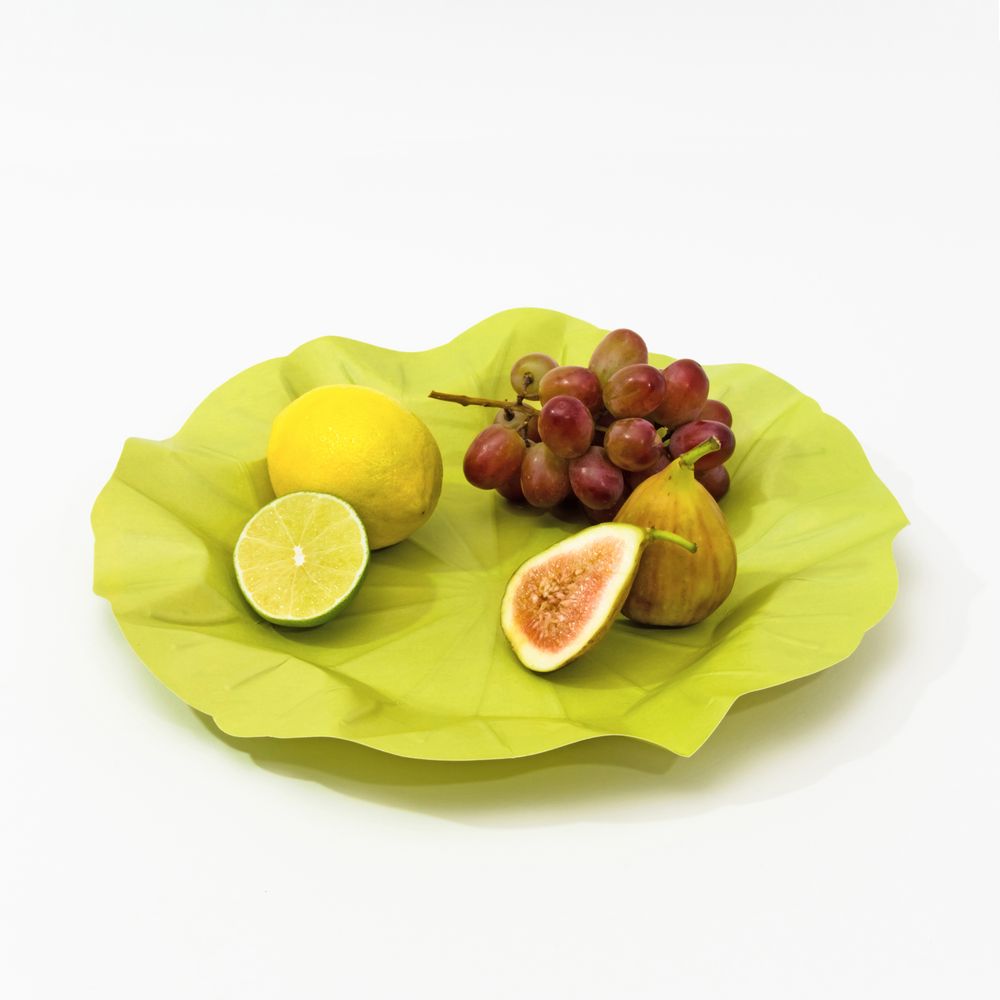 Platter and bowls - Flexible Hanji Paper Tray - Lotus Leaf M - KHJ STUDIO