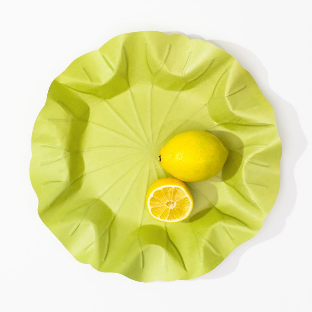 Platter and bowls - Flexible Hanji Paper Tray - Lotus Leaf M - KHJ STUDIO