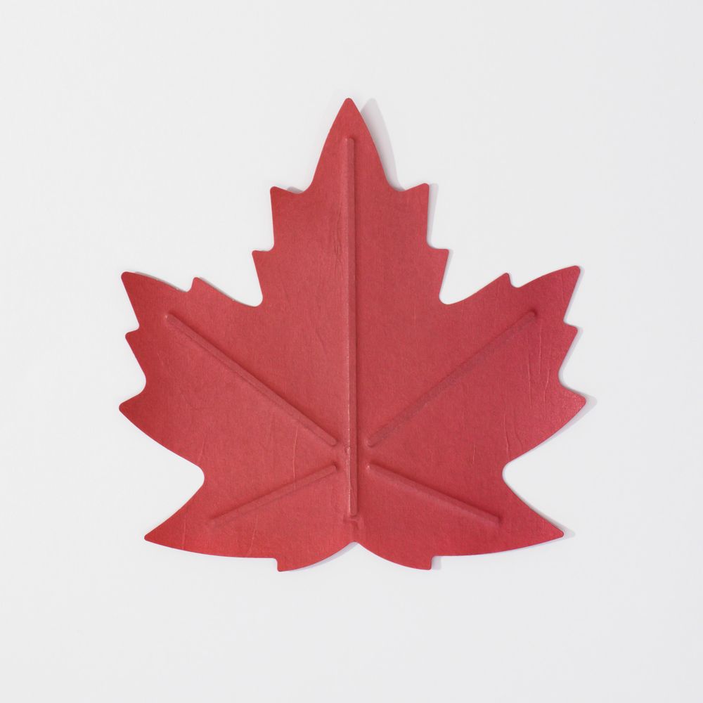 Trays - Flexible Hanji Paper Tray - Maple leaf - KHJ STUDIO
