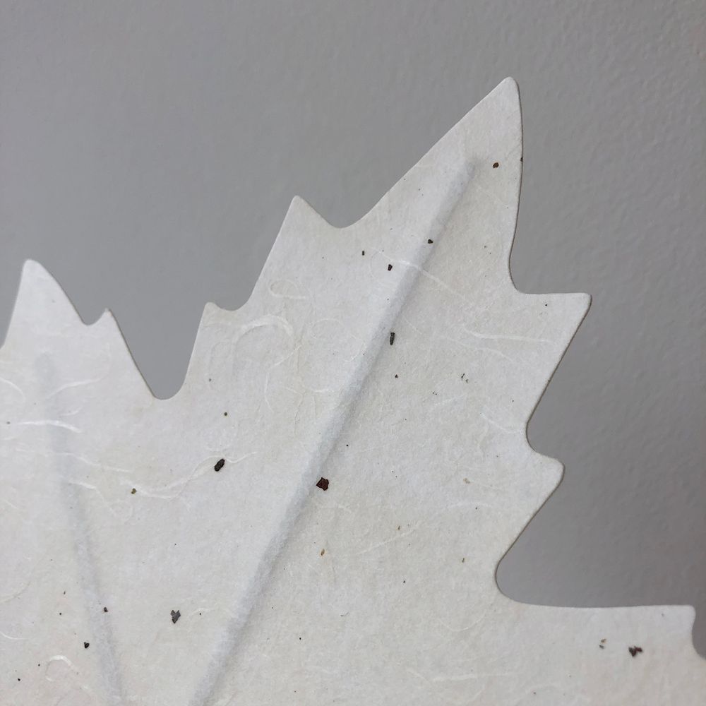 Trays - Flexible Hanji Paper Tray - Maple leaf - KHJ STUDIO