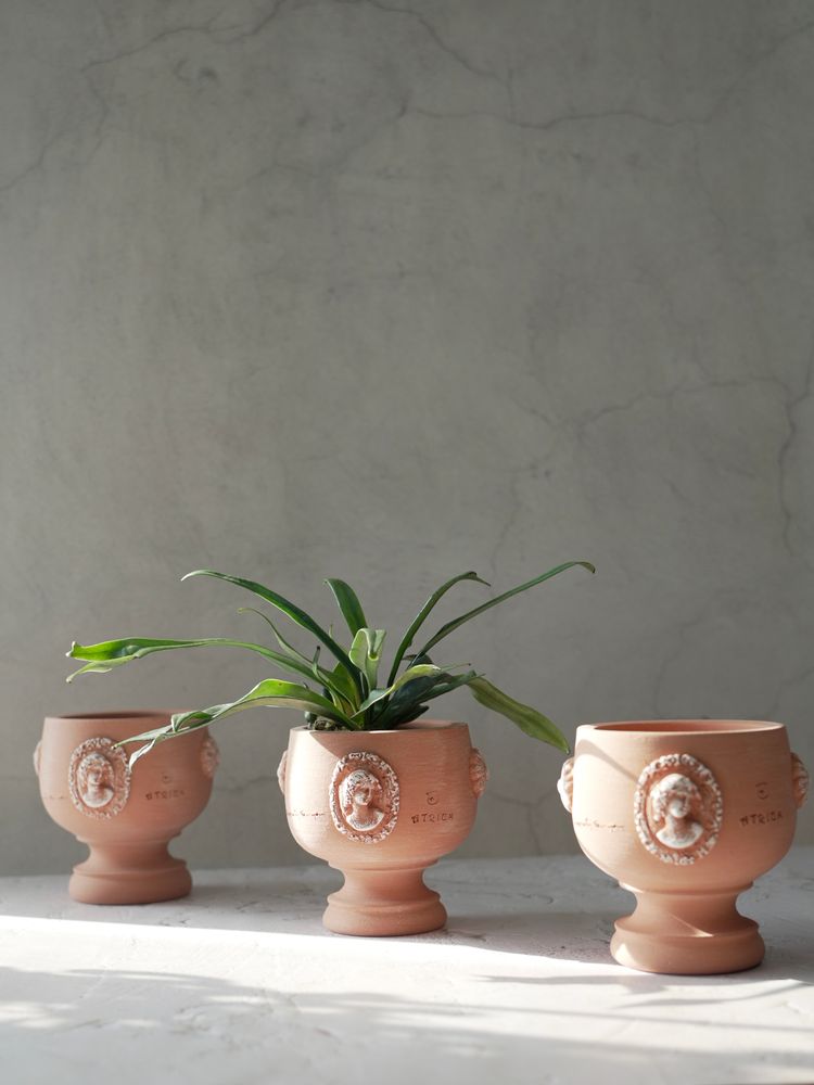 Pottery - Holy Grail , Plant pot , Handmade Terracotta - ATRIUM DESIGN STUDIO