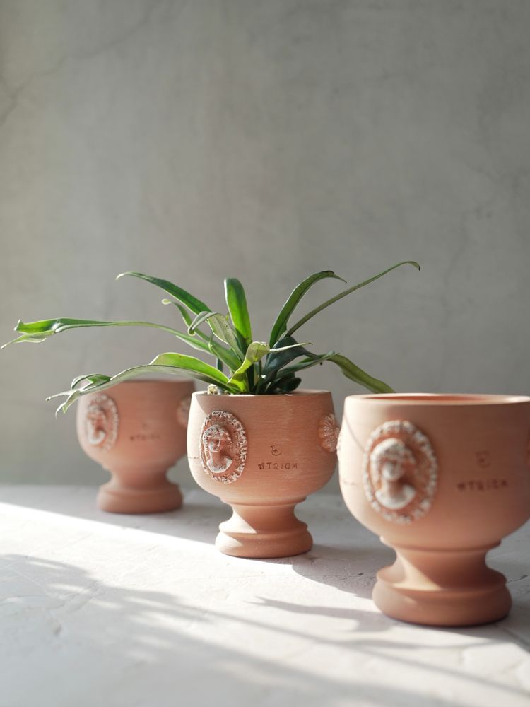 Pottery - Holy Grail , Plant pot , Handmade Terracotta - ATRIUM DESIGN STUDIO