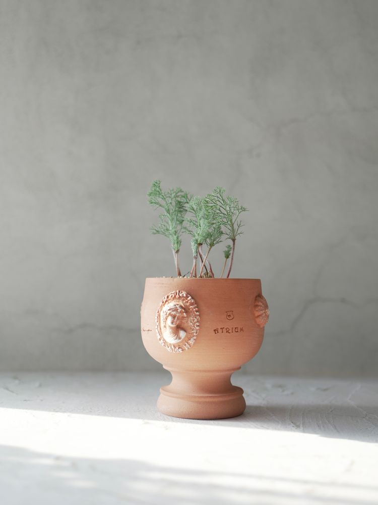 Pottery - Holy Grail , Plant pot , Handmade Terracotta - ATRIUM DESIGN STUDIO