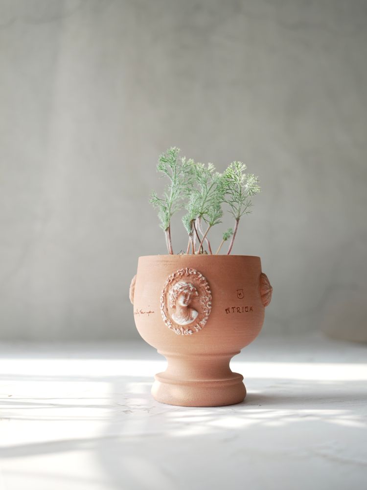 Pottery - Holy Grail , Plant pot , Handmade Terracotta - ATRIUM DESIGN STUDIO