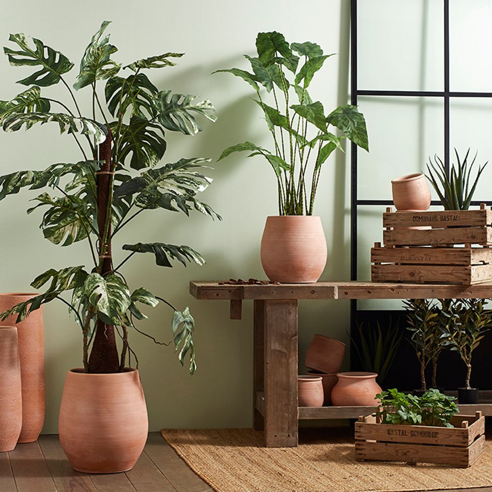 Décorations florales - Terra cotta - LOU DE CASTELLANE - plantes et fleurs artificielles - LOU DE CASTELLANE