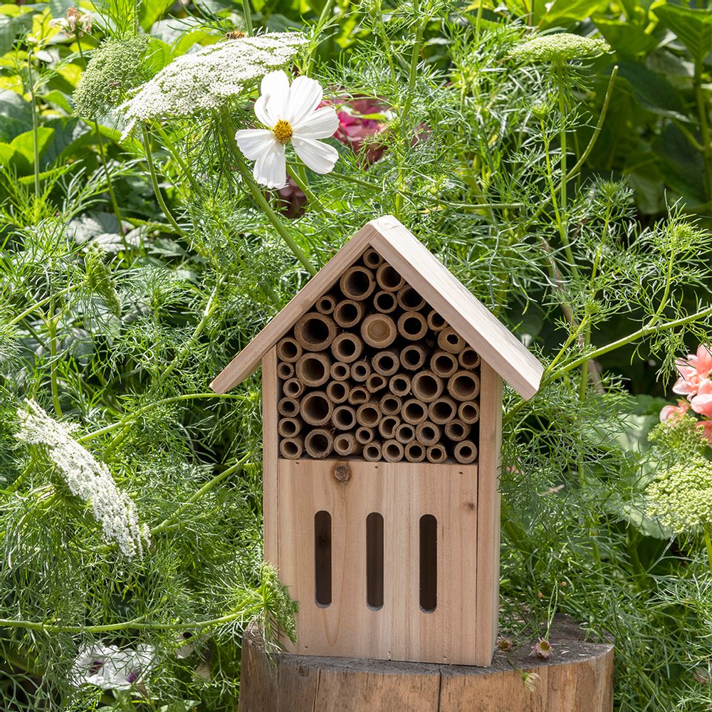 Cadeaux - Maison et Jardin - REX