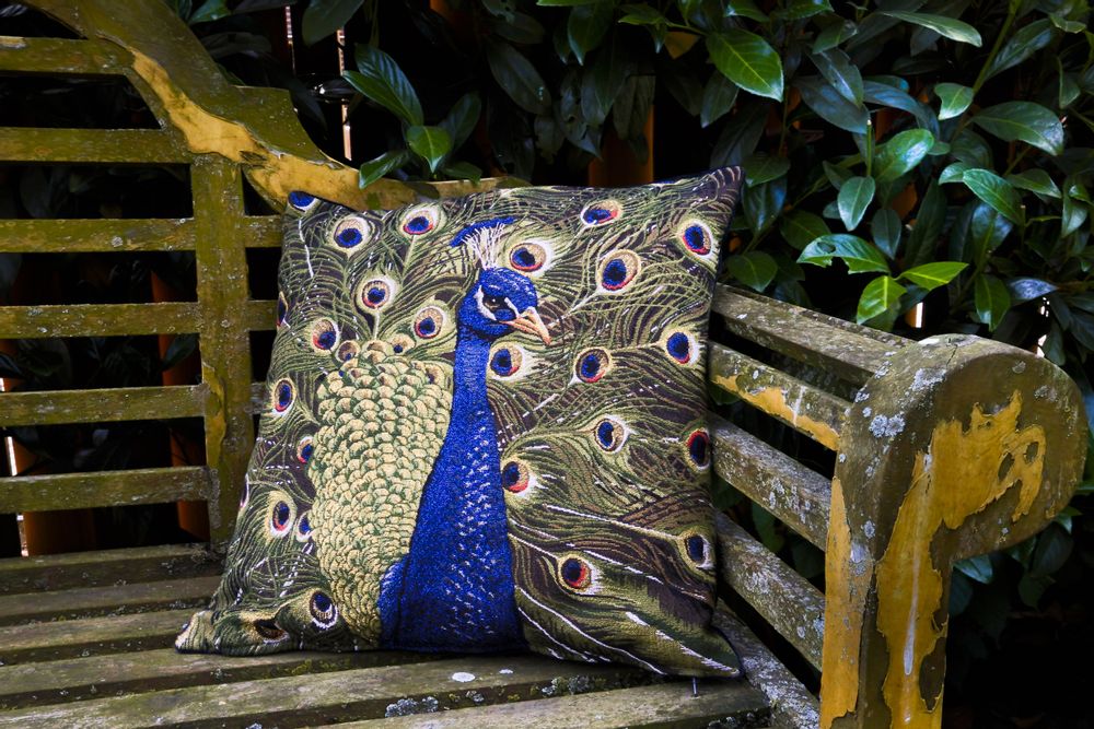 Cushions - Wings - FS HOME COLLECTIONS