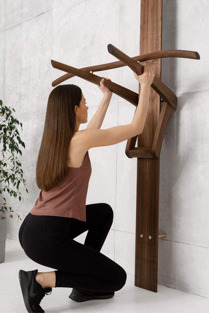 Appareils de fitness - Station de tractions et de trempage - MEISTRINE