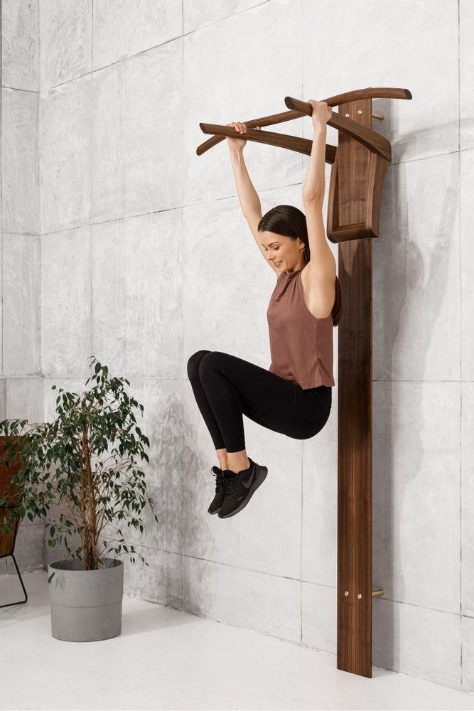 Appareils de fitness - Station de tractions et de trempage - MEISTRINE