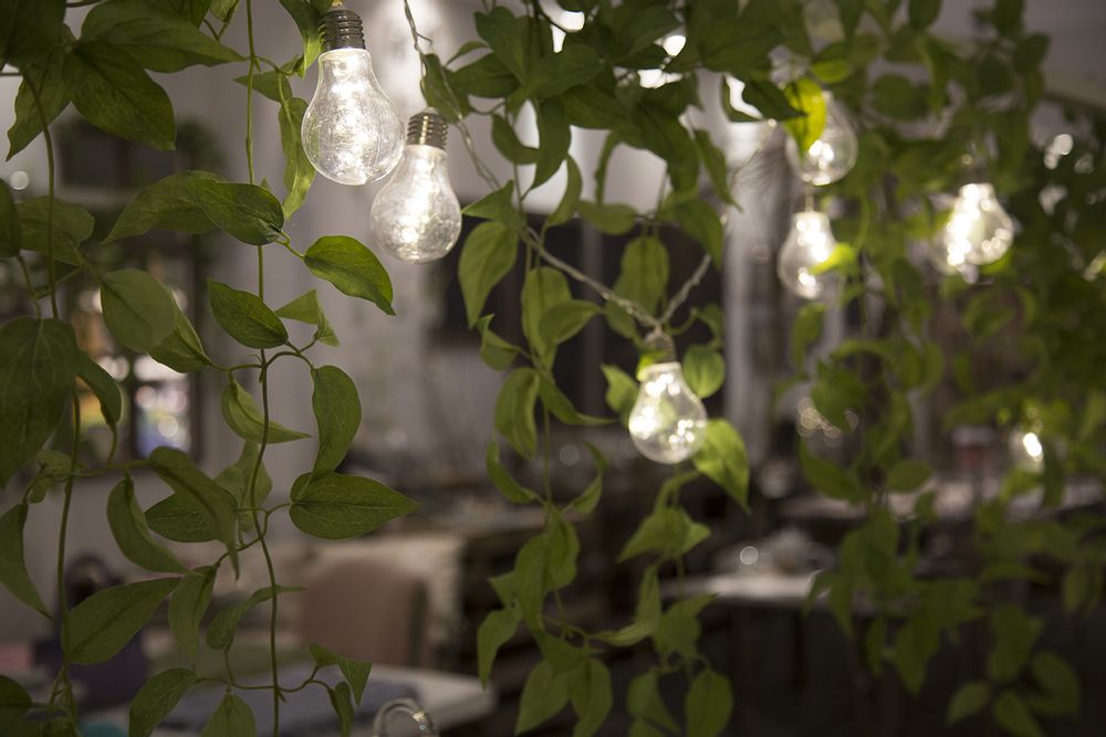 Hanging lights - LED Lights - FIORIRA UN GIARDINO SRL