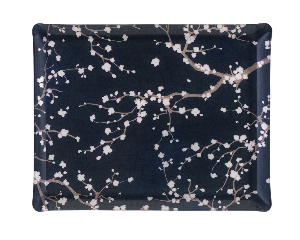 Plats et saladiers - Plateau de service acrylique x KYOTO - PLATEX