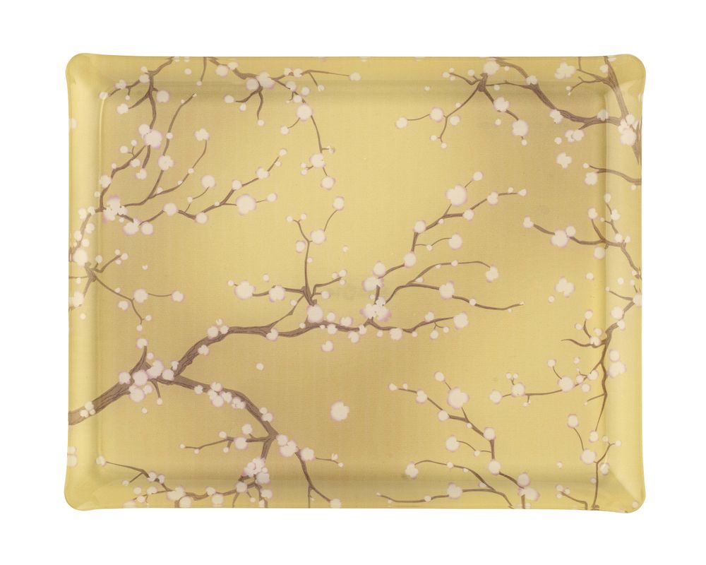 Plats et saladiers - Plateau de service acrylique x KYOTO - PLATEX