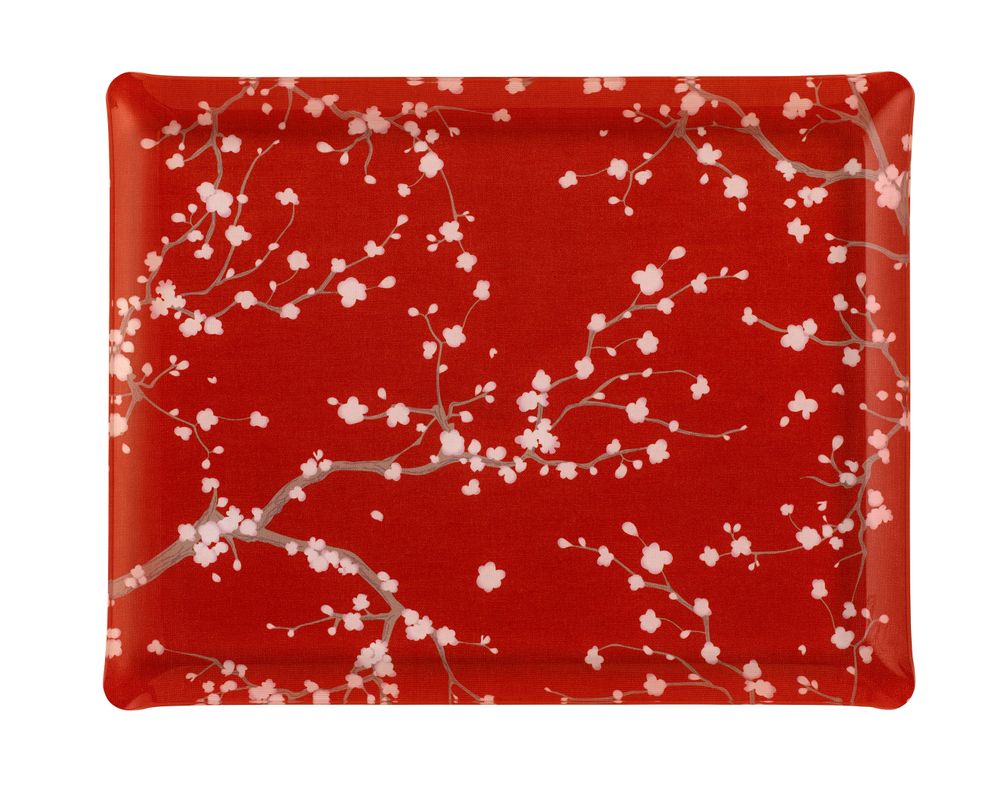 Plats et saladiers - Plateau de service acrylique x KYOTO - PLATEX