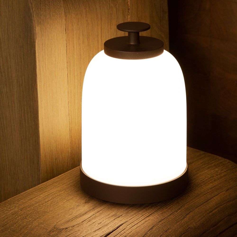 Outdoor decorative accessories - Debut of the day - Lamp - DRAGONFLY