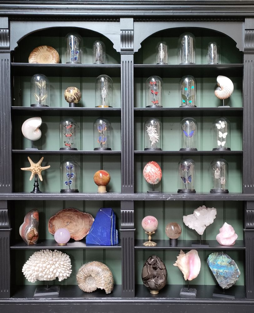 Objets de décoration - Objets de décoration et cabinet de curiosité - METAMORPHOSES