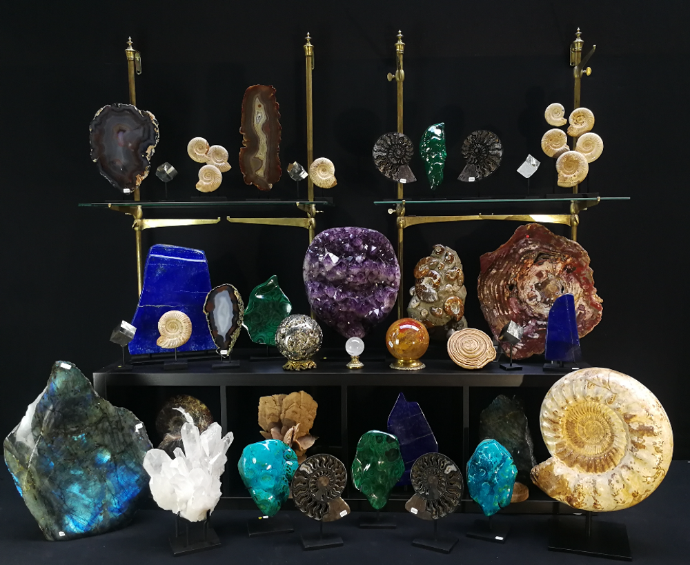 Objets de décoration - Objets de décoration et cabinet de curiosité - METAMORPHOSES