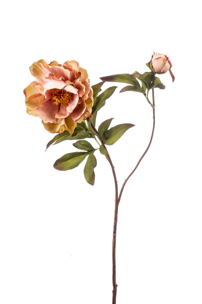 Floral decoration - NEW Autumn/Winter collection for 2022-23 - EMERALD ETERNAL GREEN BV