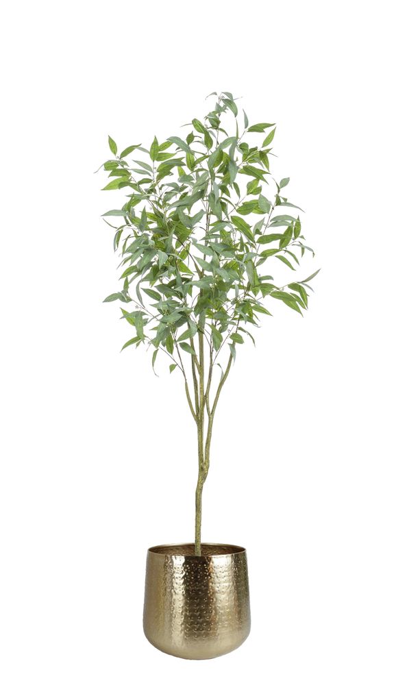 Décorations florales - Collection de plantes artificielles vertes - EMERALD ETERNAL GREEN BV