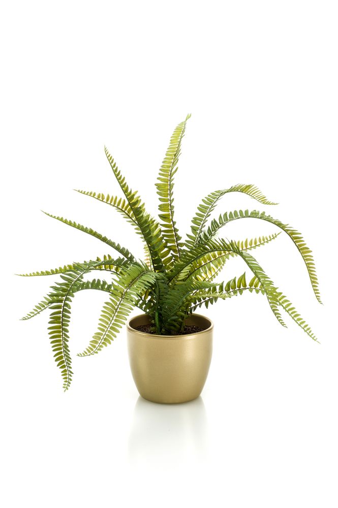 Objets de décoration - Collection de plantes vertes artificielles - EMERALD ETERNAL GREEN BV