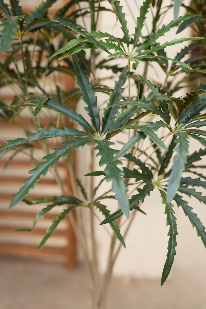 Décorations florales - Collection de plantes vertes artificielles - EMERALD ETERNAL GREEN BV