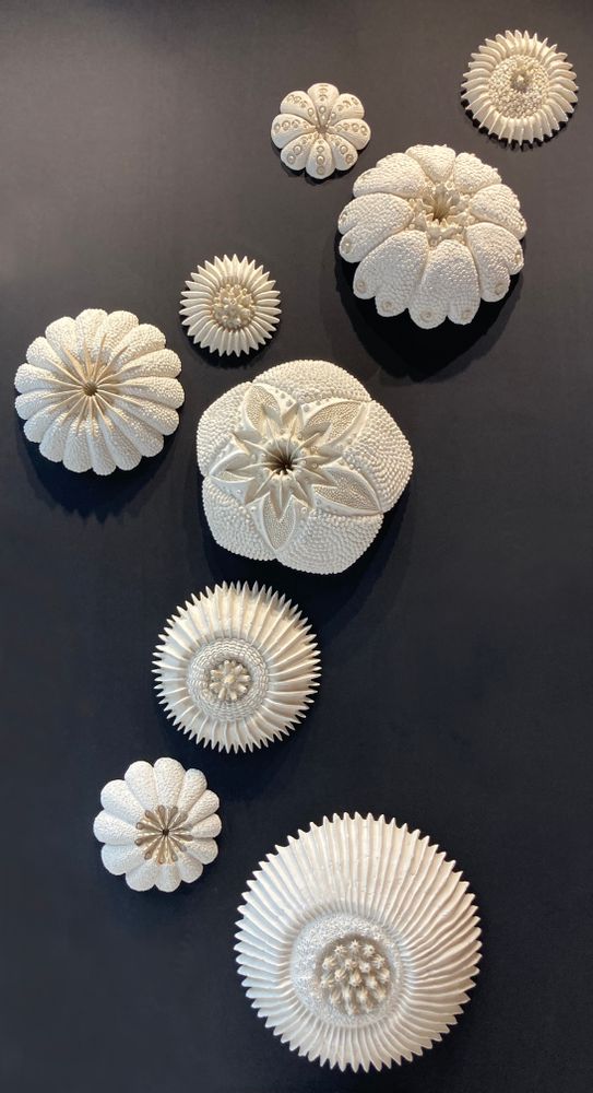 Decorative objects - KORALS wall decoration - VERO REATO