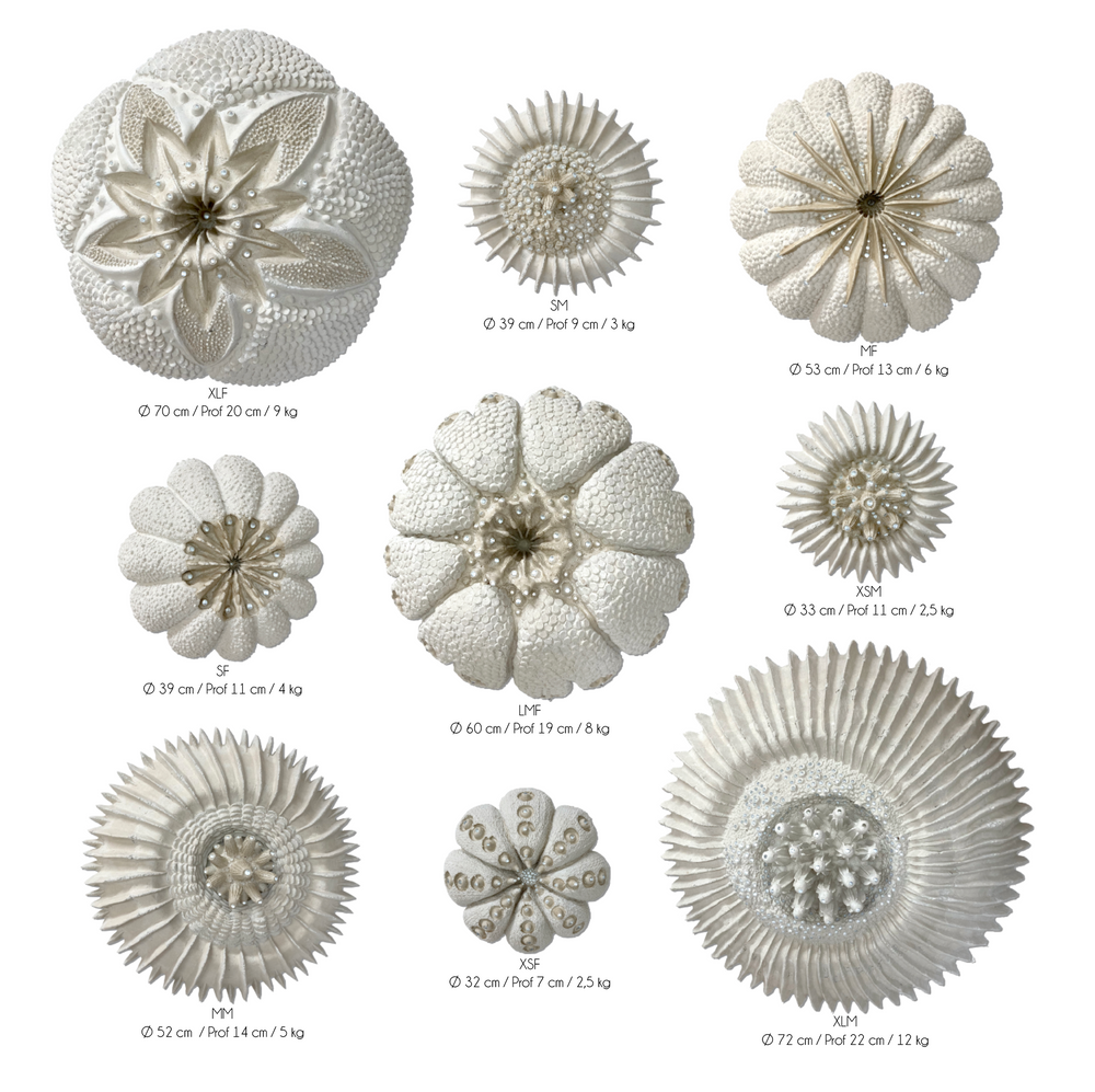 Decorative objects - KORALS wall decoration - VERO REATO