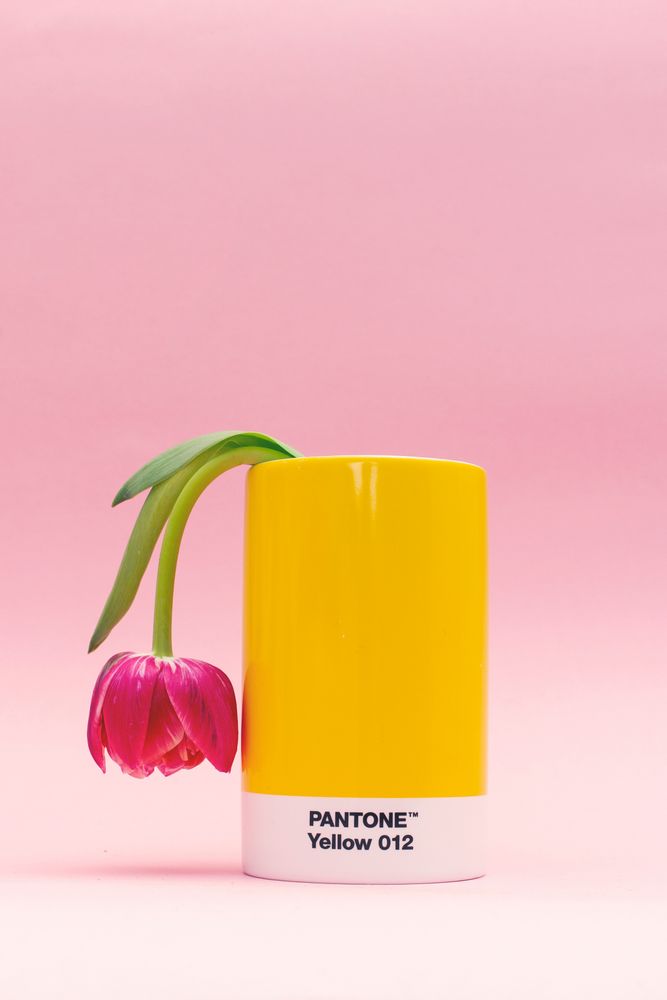 Range-tout - Pot à crayon crayon - PANTONE