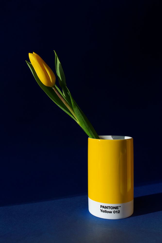 Range-tout - Pot à crayon crayon - PANTONE