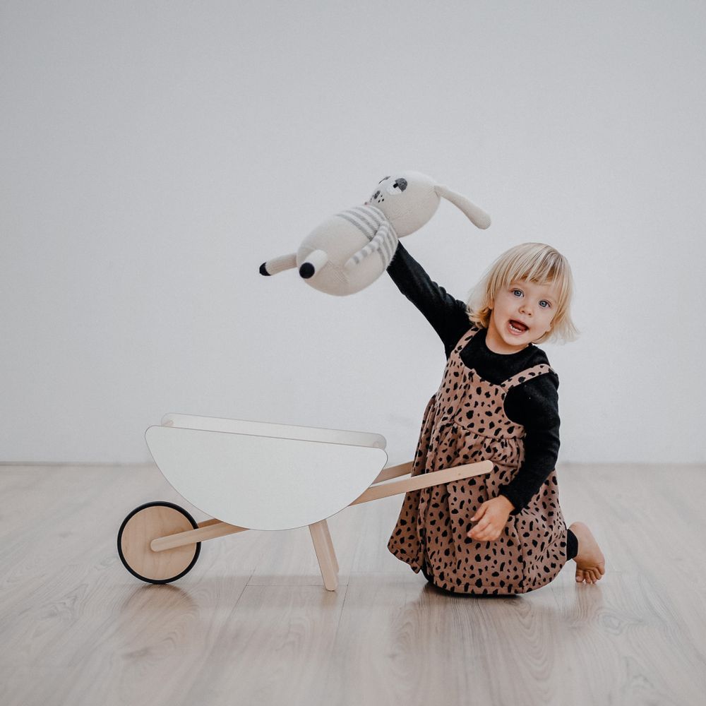 Jouets enfants - Brouette jouet - Faites un jeu en voyant qui peut transporter un tas de jouets plus loin sans renverser. - OOH NOO