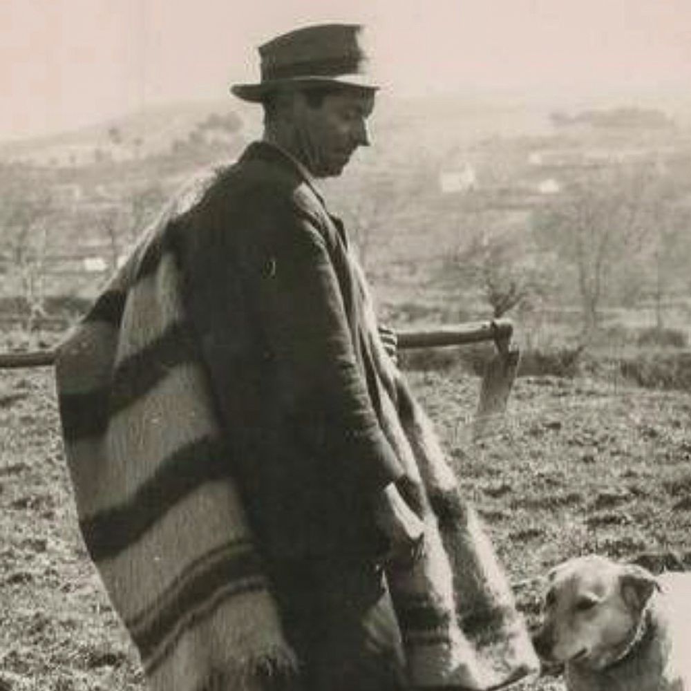 Objets design - COUSSIN SERRA DA ESTRELA 50 X 50 CM 100 % LAINE BIOLOGIQUE - SCHOOLOFLIFEPROJECTS