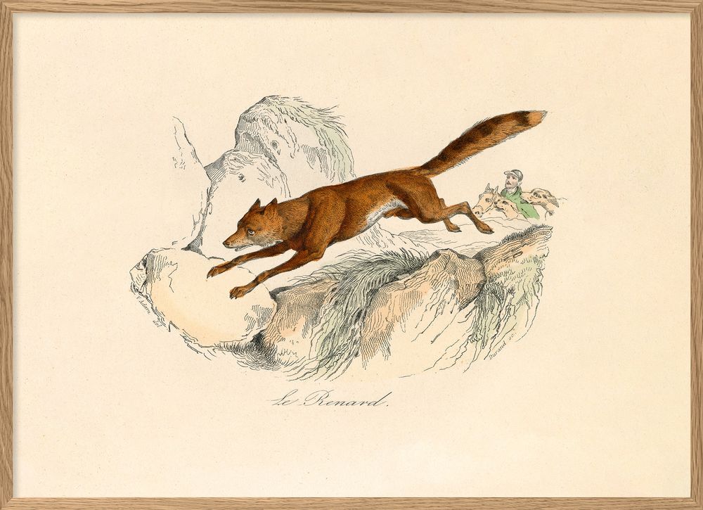 Poster - Poster Encyclopedian Nature - THE DYBDAHL CO.