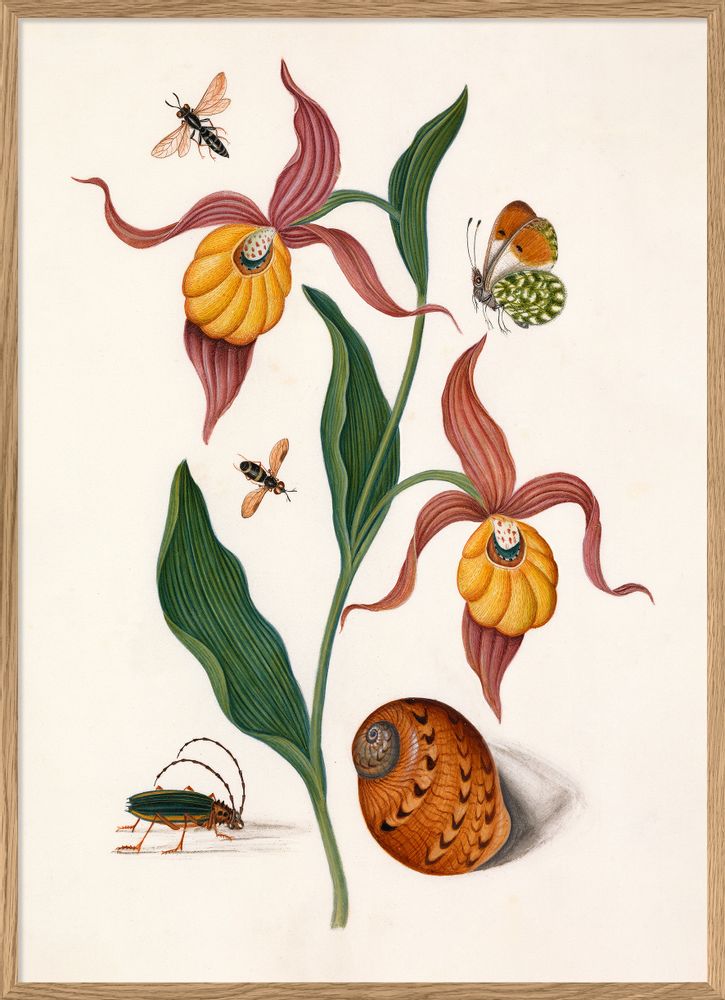 Poster - Poster Natural history Collection - THE DYBDAHL CO.