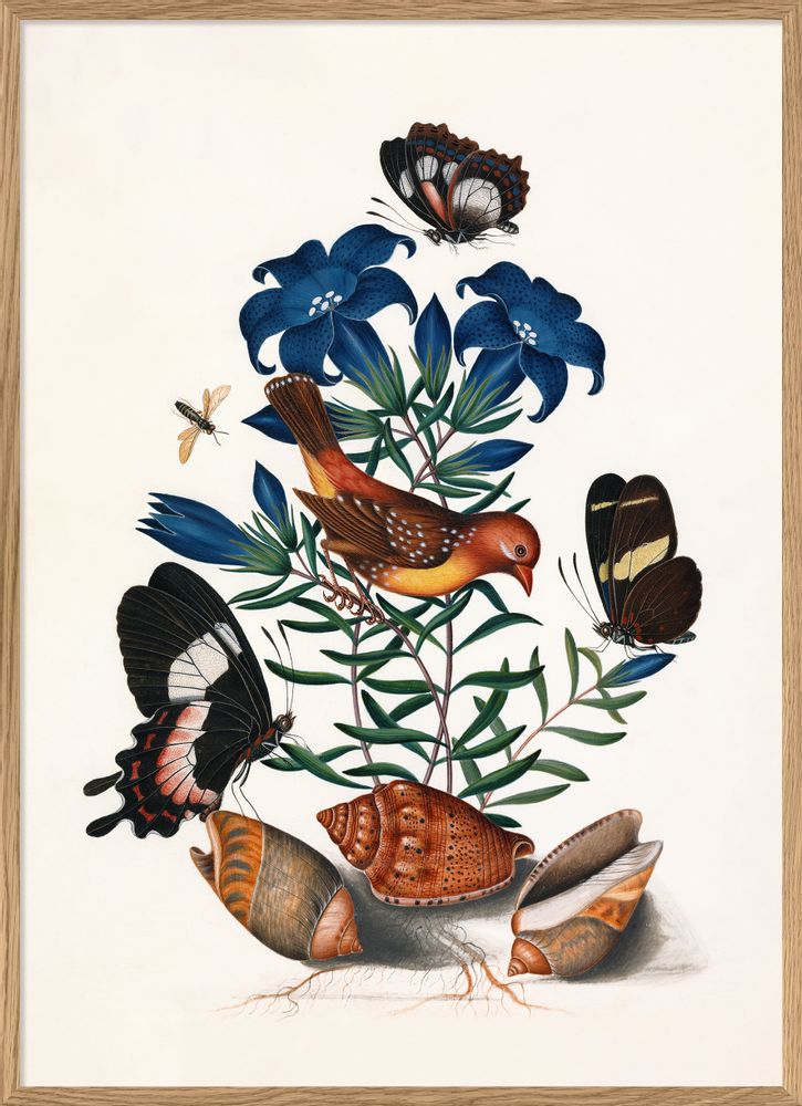 Poster - Poster Natural history Collection - THE DYBDAHL CO.