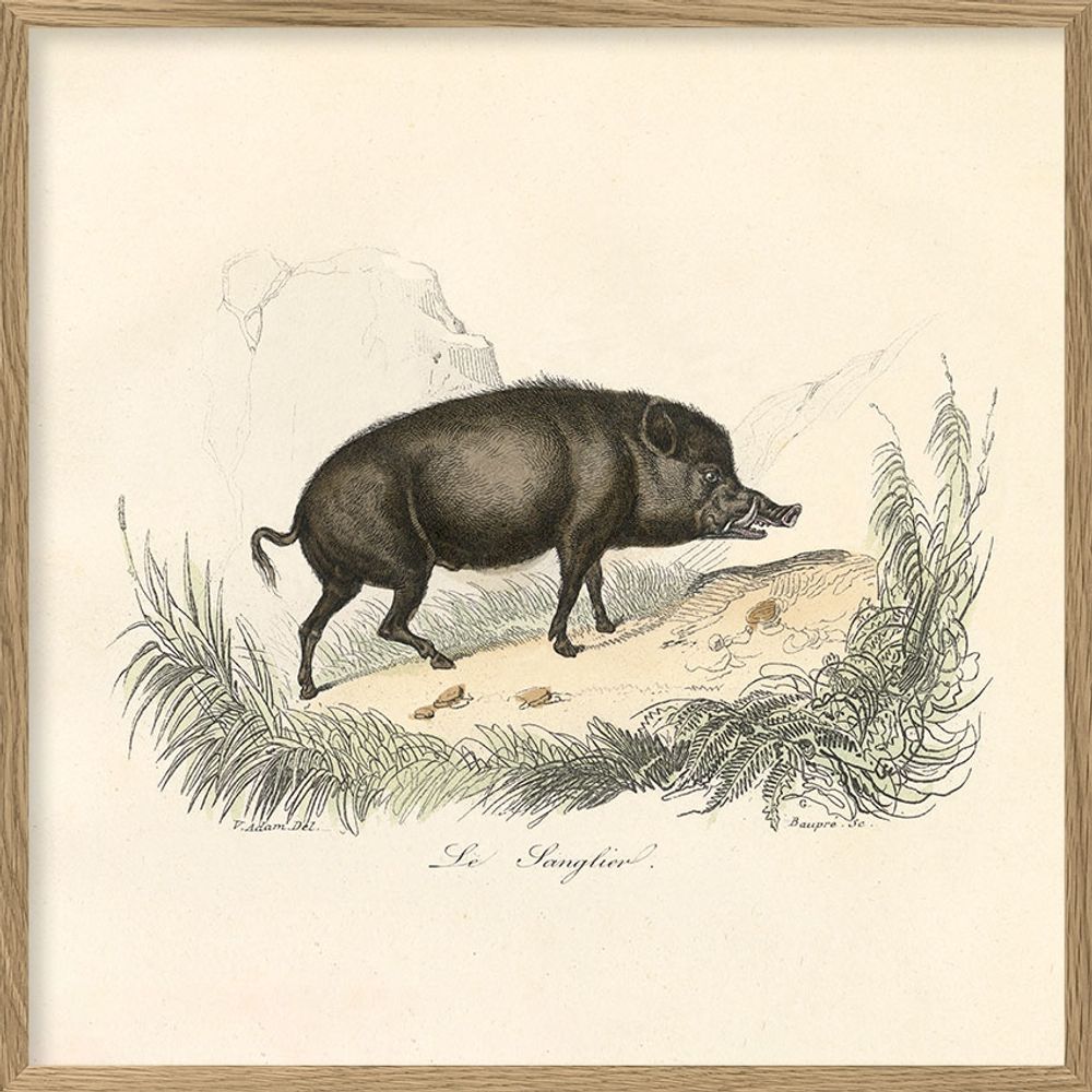 Poster - Poster Encyclopedian Nature - THE DYBDAHL CO.