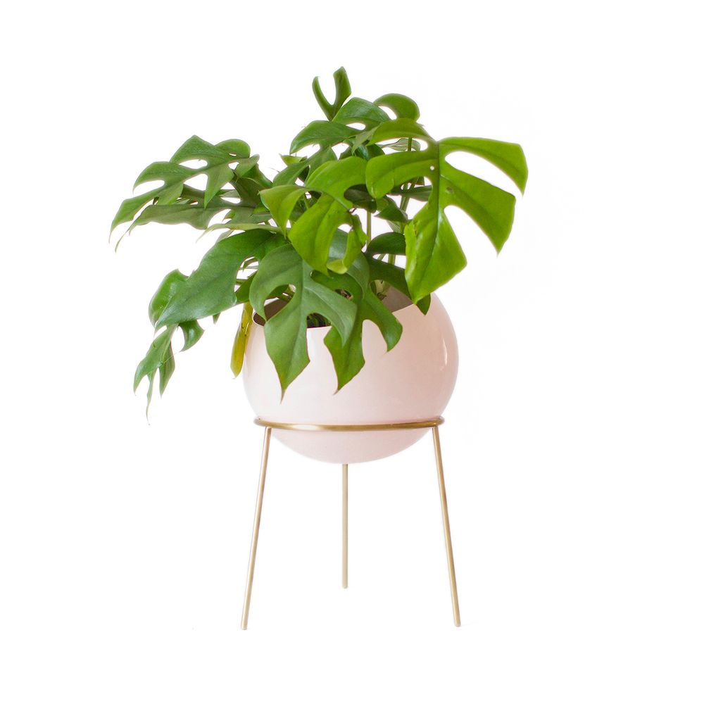 Pots de fleurs - Jardinière Globe - KITBOX DESIGN